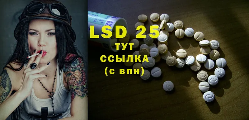 дарнет шоп  Заводоуковск  Лсд 25 экстази ecstasy 